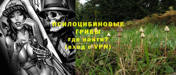 винт Алзамай