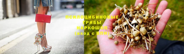 кокс Алексин
