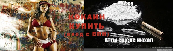 винт Алзамай